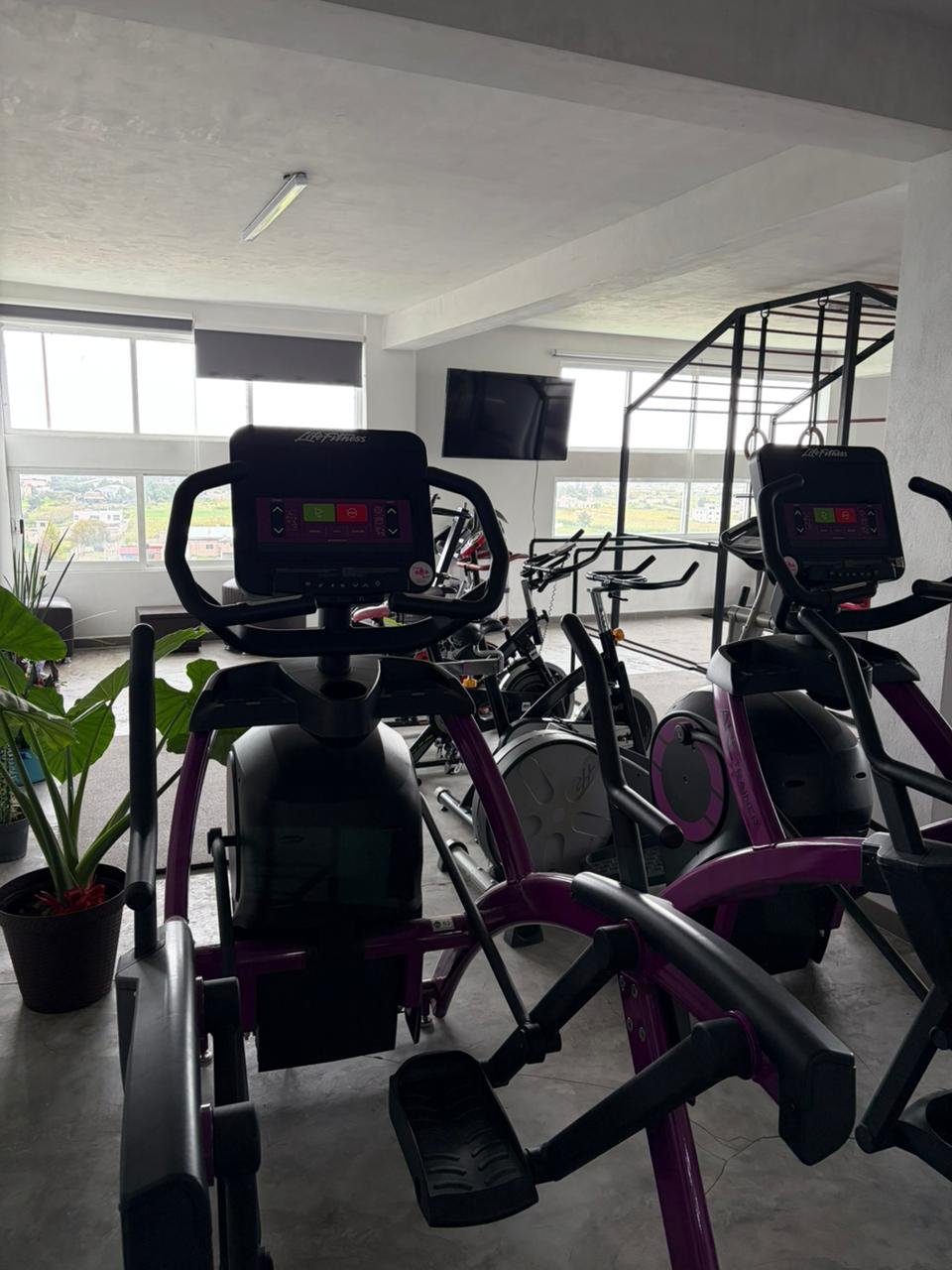 Gym 1