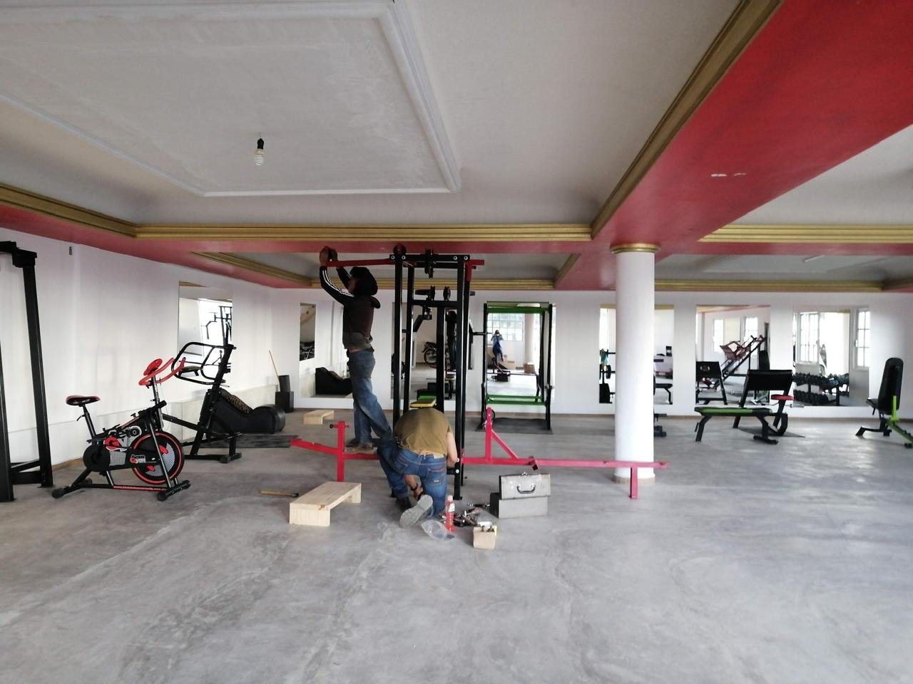 Progreso del gimnasio