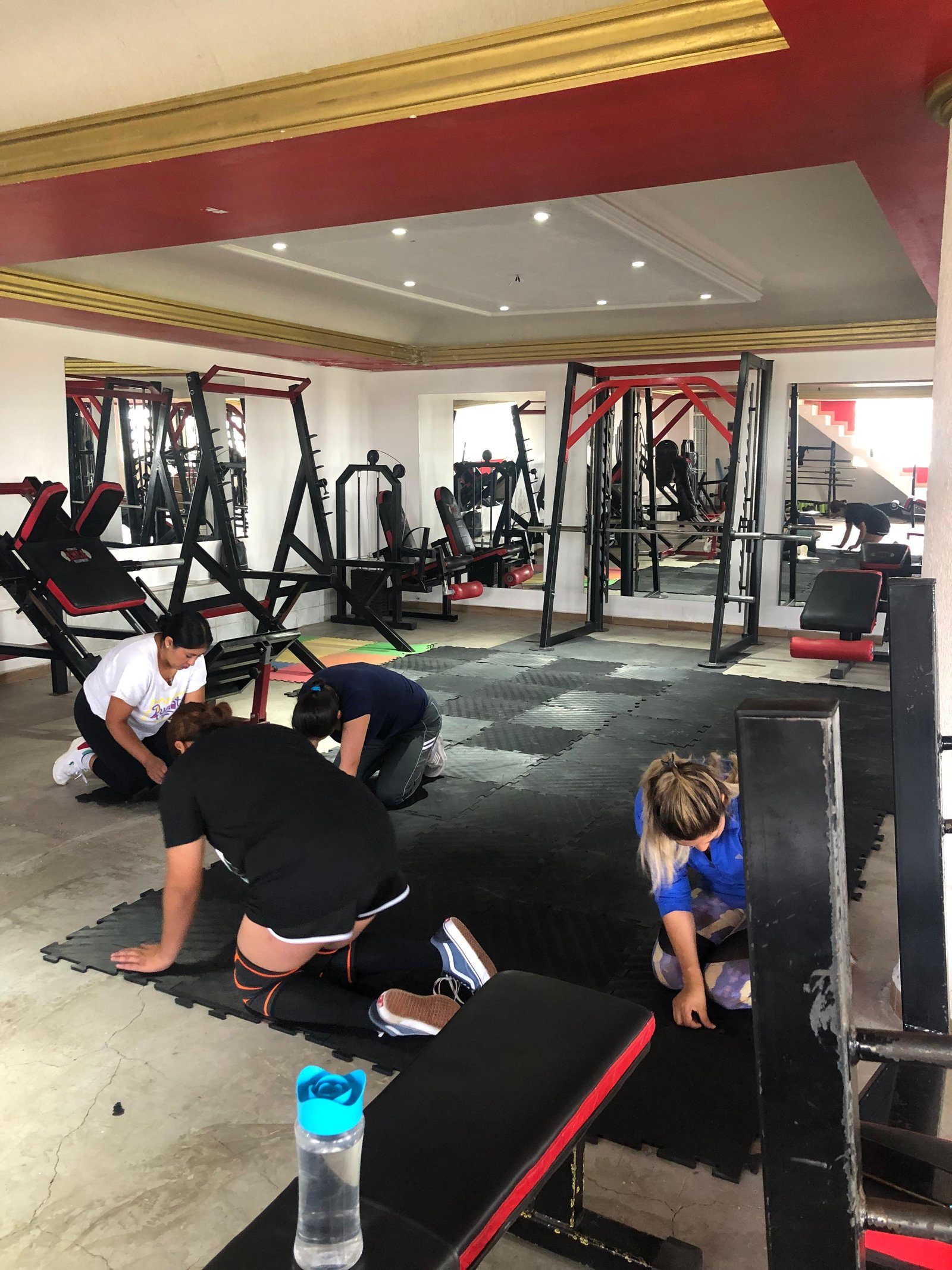 Progreso del gimnasio